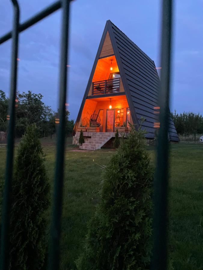 Vila Grujic ヴルドニーク エクステリア 写真